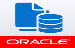 Oracle数据库管理工具有哪些?-北京开云手机在线登陆入口公司