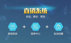 手机直销系统开云手机在线登陆入口价格-北京软件外包公司