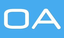 软件外包公司、OA系统开发功能有哪些？费用是多少-开云手机在线登陆入口公司[北京开云手机在线登陆入口]