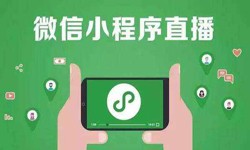 微信小程序开发、直播小程序开发-开云手机在线登陆入口开云手机在线登陆入口公司 