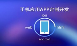 APP开发市场上常见问题分析-北京开云手机在线登陆入口公司